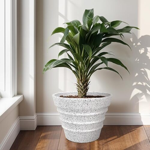 A durable, lightweight fiberglass container, one of the tree planters for a living room or commercial space