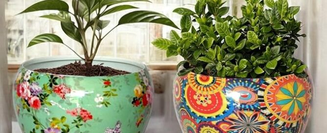 The Ultimate Pot for Plants Your Plant’s New BEST HOME 1.
