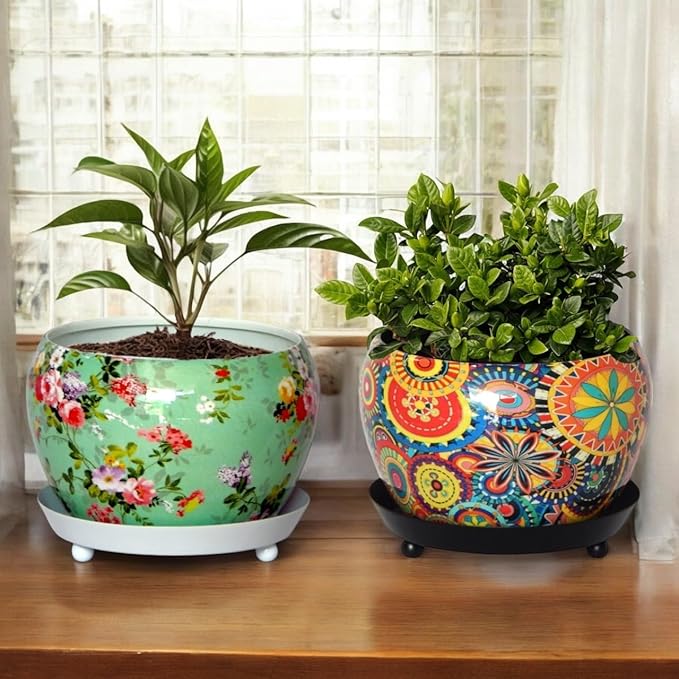The Ultimate Pot for Plants Your Plant’s New BEST HOME 1.
