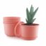 Upgrade inkulture durable, lightweight the flower pots (5-pack) with tray. Perfect premium plastic planter for your home, terrace, balcony, and garden.